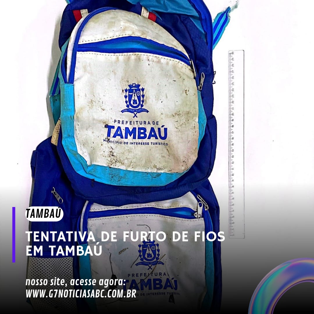 TENTATIVA DE FURTO DE FIOS EM TAMBAÚ 
