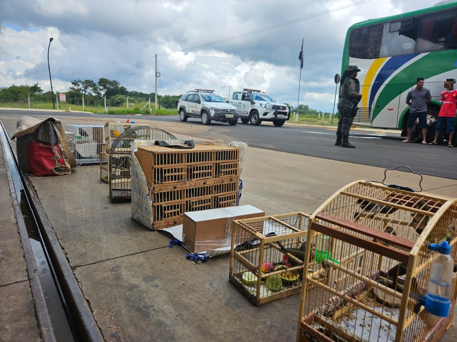 POLÍCIA MILITAR AMBIENTAL RESGATA 67 AVES NATIVAS TRANSPORTADAS EM ÔNIBUS DE VIAGEM NA DIVISA ENTRE SP E MG