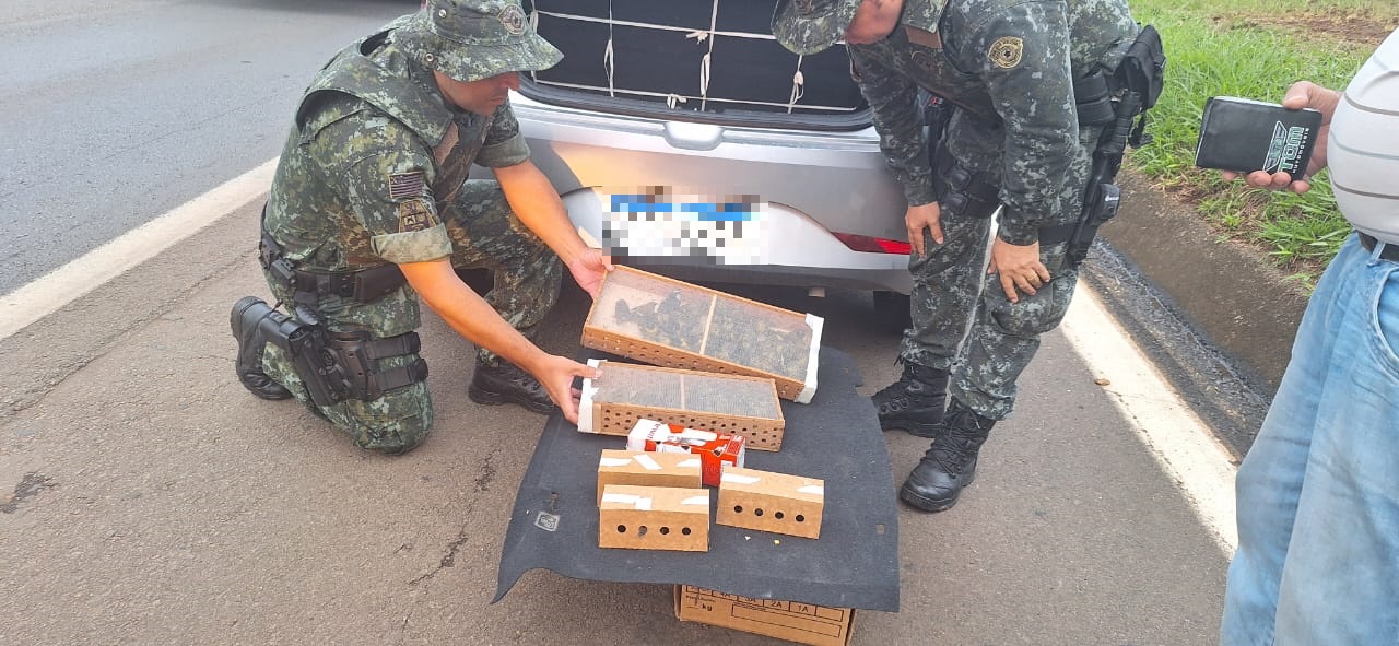 POLÍCIA MILITAR AMBIENTAL APREENDE 81 AVES EM SITUAÇÃO DE MAUS TRATOS EM ITAPETININGA 