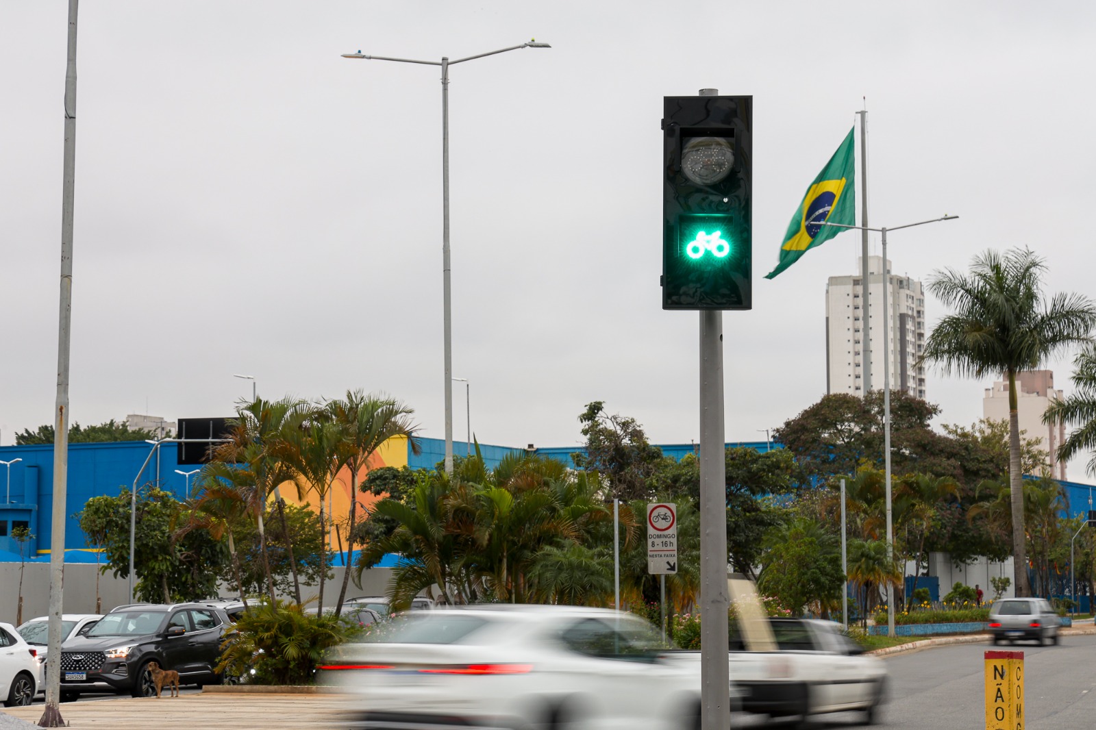 PREFEITURA DE SÃO CAETANO INICIA INSTALAÇÃO DE NOVOS SEMÁFOROS INTELIGENTES NA AVENIDA GOIÁS 