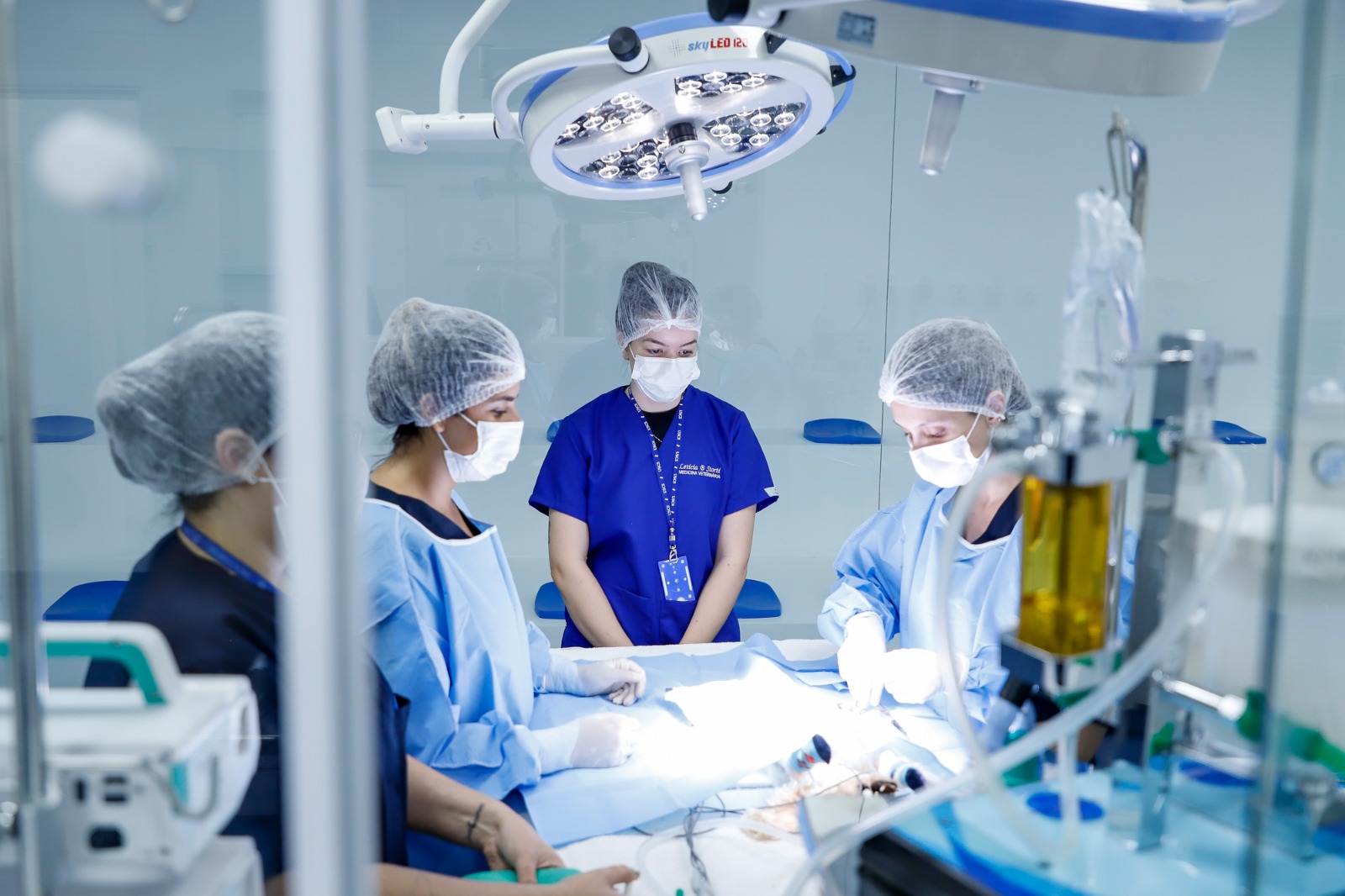UNIDADE BÁSICA DE SAÚDE ANIMAL E HOSPITAL VETERINÁRIO DE SÃO CAETANO CELEBRAM UM ANO 