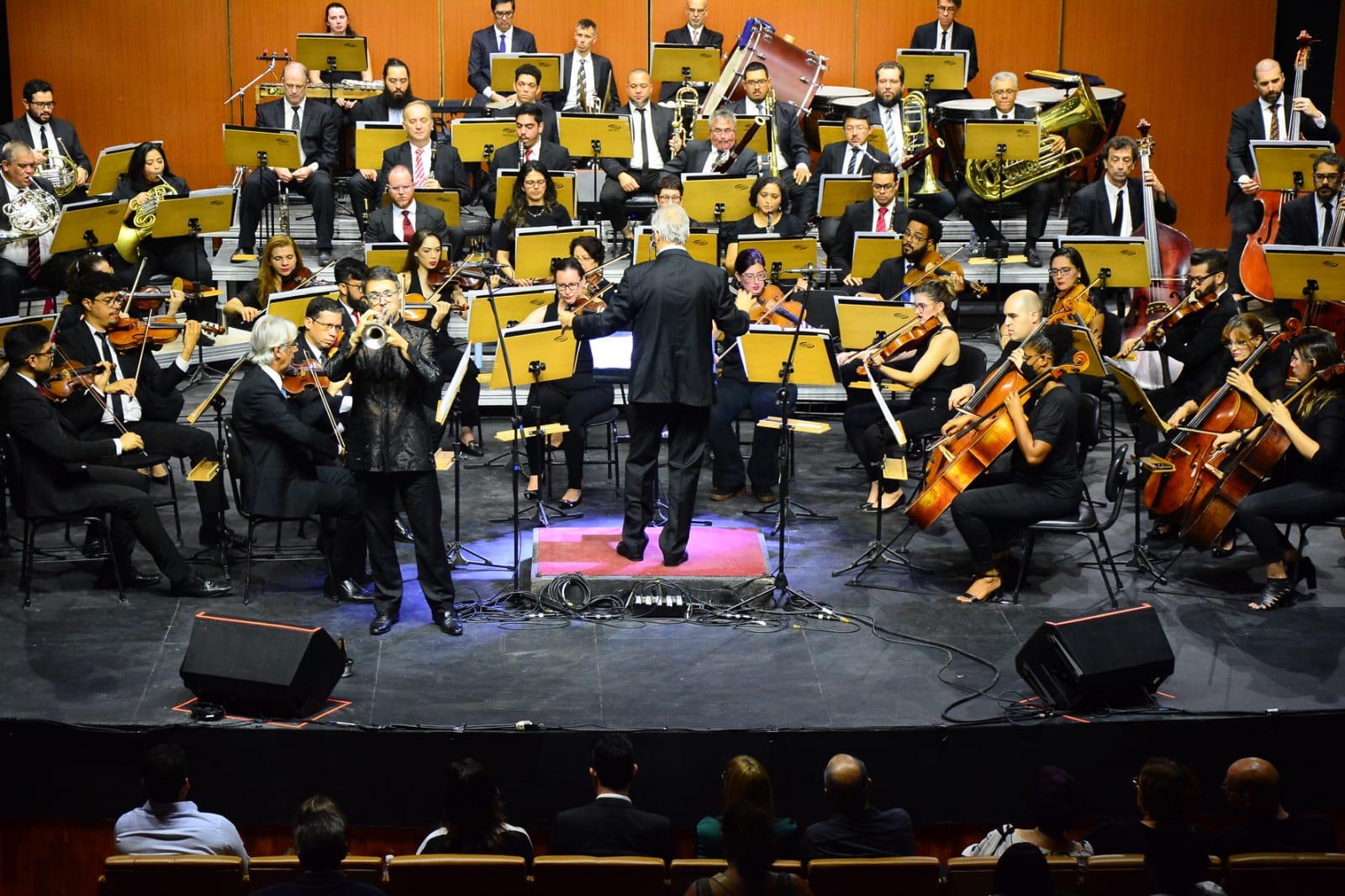 Sinfônica de Santo André faz dupla apresentação no Teatro Municipal neste fim de semana