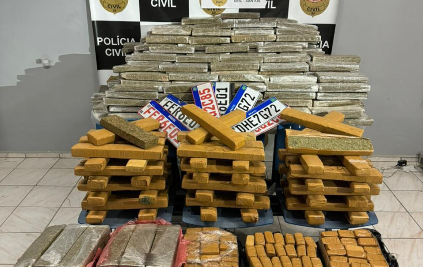 Polícia Civil de Santos intercepta caminhão carregado com 590 quilos de maconha