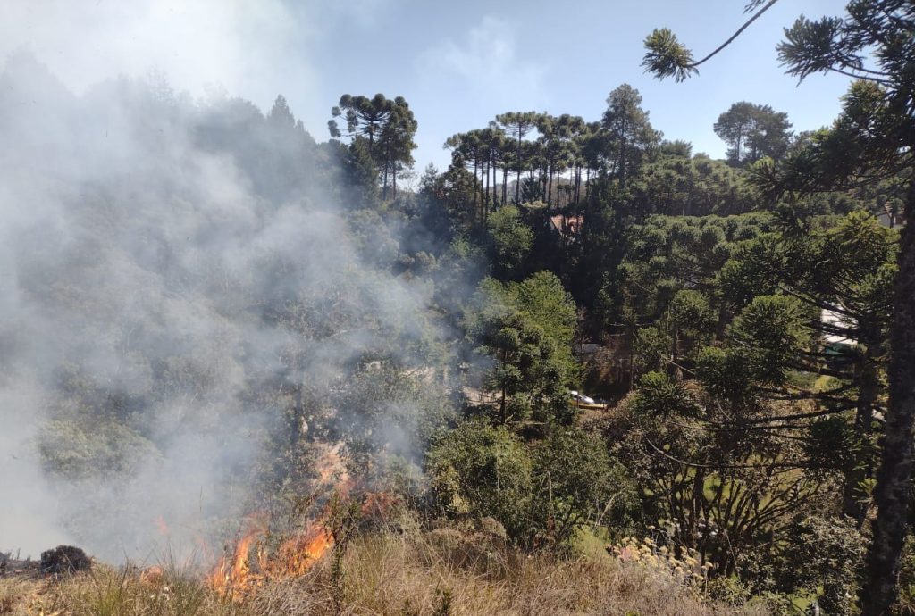 GOVERNO DE SÃO PAULO REFORÇA OPERAÇÃO DE COMBATE AO FOGO NO INTERIOR 