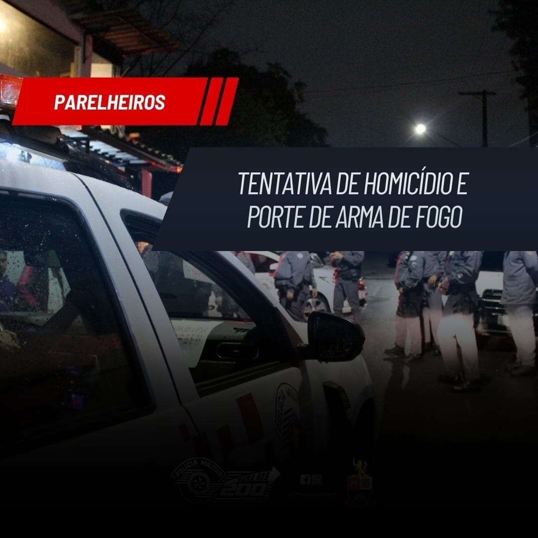 TENTATIVA DE HOMICÍDIO E PORTE DE ARMA DE FOGO