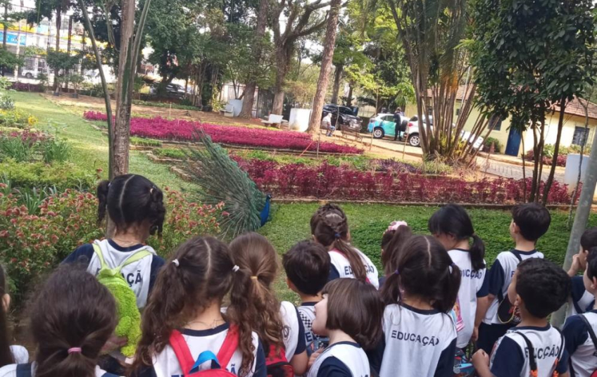 Escolas municipais de São Caetano celebram a Semana da Criança
