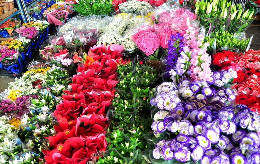 Mercado de Flores da Craisa é opção de compras para o Dia de Finados