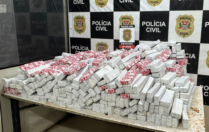 Denarc encontra quase meia tonelada de maconha escondida em carga de carnes em SP