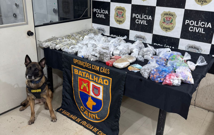 Cão policial encontra drogas em parede ‘falsa’ de uma casa em SP