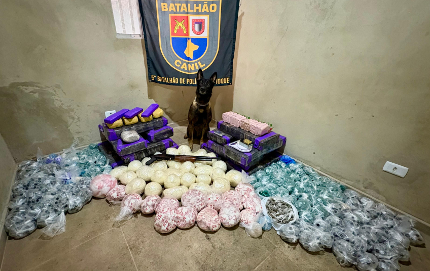 Cão farejador encontra 200 kg de drogas em 'casa bomba' na zona oeste de SP
