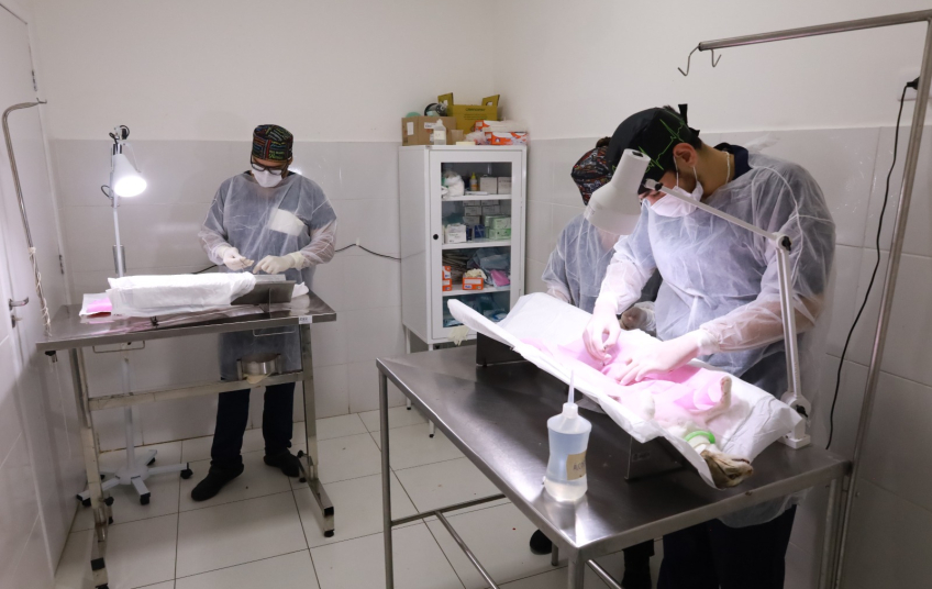 Prefeitura de Mauá reforça importância do SinPatinhas, sistema nacional de cadastro de animais domésticos