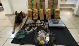 Cão farejador encontra 170 kg de drogas em São Paulo
