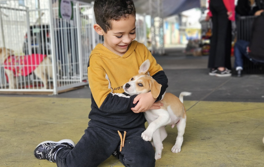 Projeto “Tigela Cheia” troca garrafas PET por ração e promove adoção de animais no Festival do Chocolate
