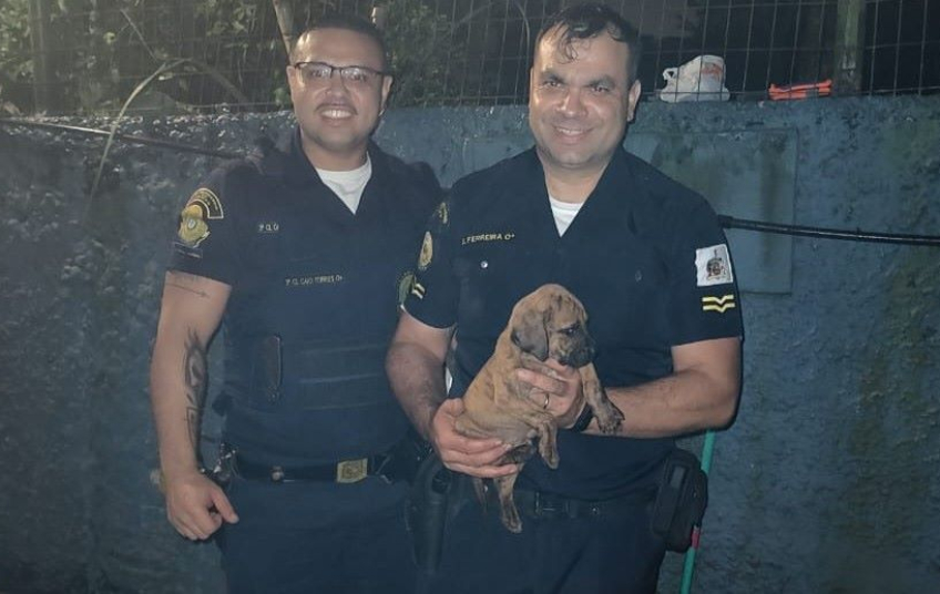 Em atuação humanitária, GCM resgata filhote abandonado em terreno baldio no Assunção