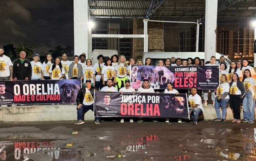 Transparência na investigação do Caso Orelha: Deputado Rafael Saraiva reúne 500 ativistas em Florianópolis em protesto pacífico