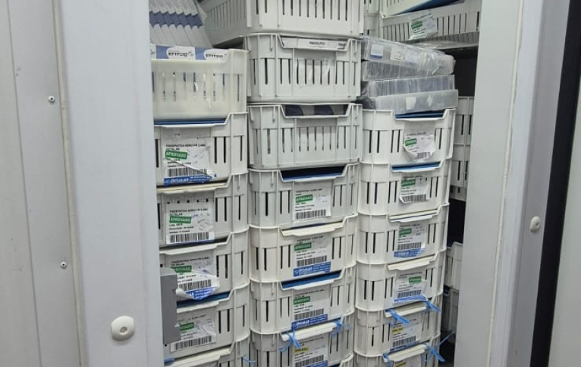 Polícia apreende quase 90 mil ampolas e frascos de remédios para emagrecimento na Grande SP