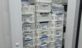 Polícia apreende quase 90 mil ampolas e frascos de remédios para emagrecimento na Grande SP