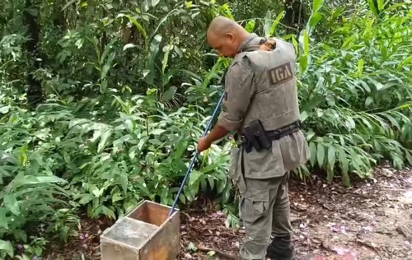 Em São Bernardo, GCM Ambiental captura serpente em quintal de residência no Estoril