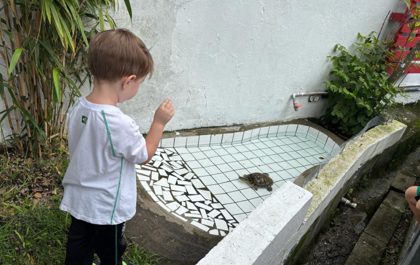 Crianças aprendem sobre cuidado e respeito aos animais com tartaruga mascote